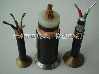 ZRYJV ZRYJV22 ZRYJV32阻燃控制电缆【电缆定做】