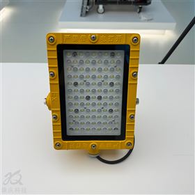 防爆燈BFC8115/50W防爆LED泛光燈道路照明燈