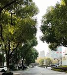 ר�ҽ������֮һ | ���ľ��� ��׼ʩ�� �ƶ����ܽ�̼ȡ���³�Ч