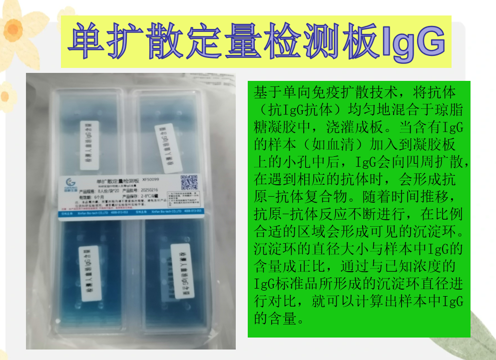 單擴散定量檢測板IgG現貨