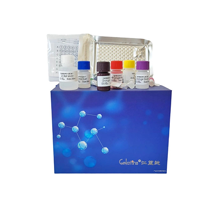 上海晶抗生物為您介紹ELISA試劑盒的組成