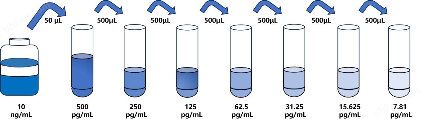 犬白介素1β(IL-1β)检测试剂盒