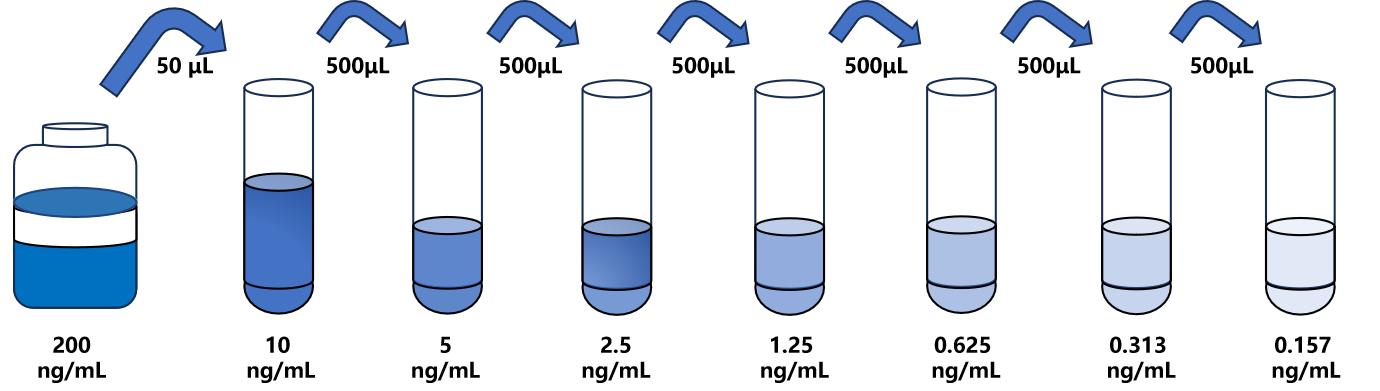 人叉頭框蛋白O3(FOXO3)檢測試劑盒