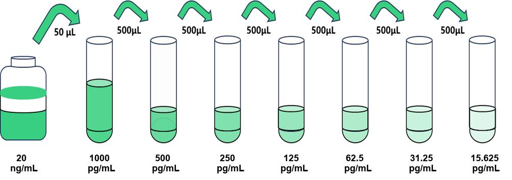 α黑色素細胞刺激素(α-MSH)人試劑盒